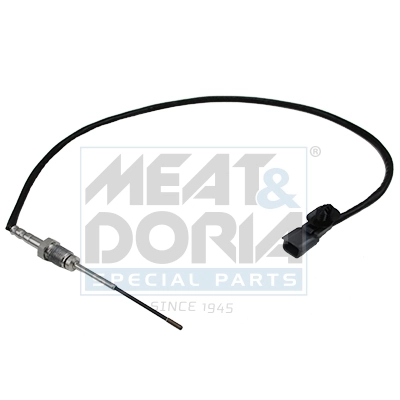 Sensor, exhaust gas temperature